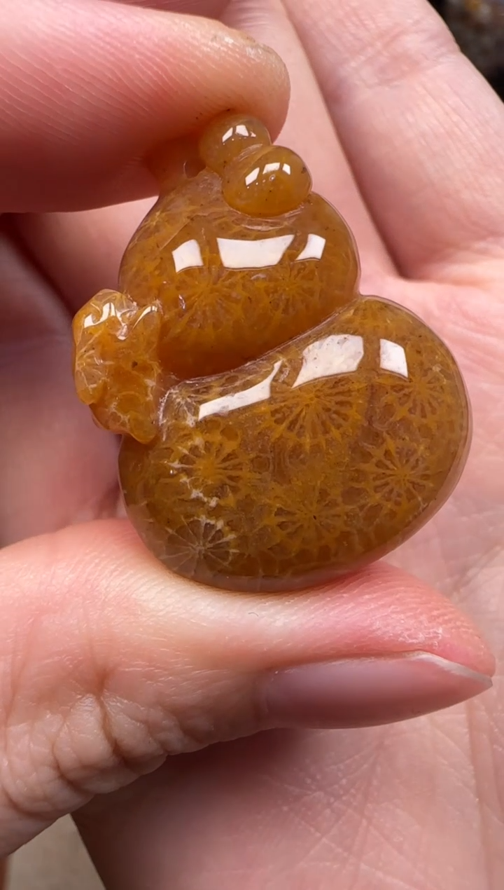 硅化珊瑚（珊瑚玉）未镶嵌颈饰341