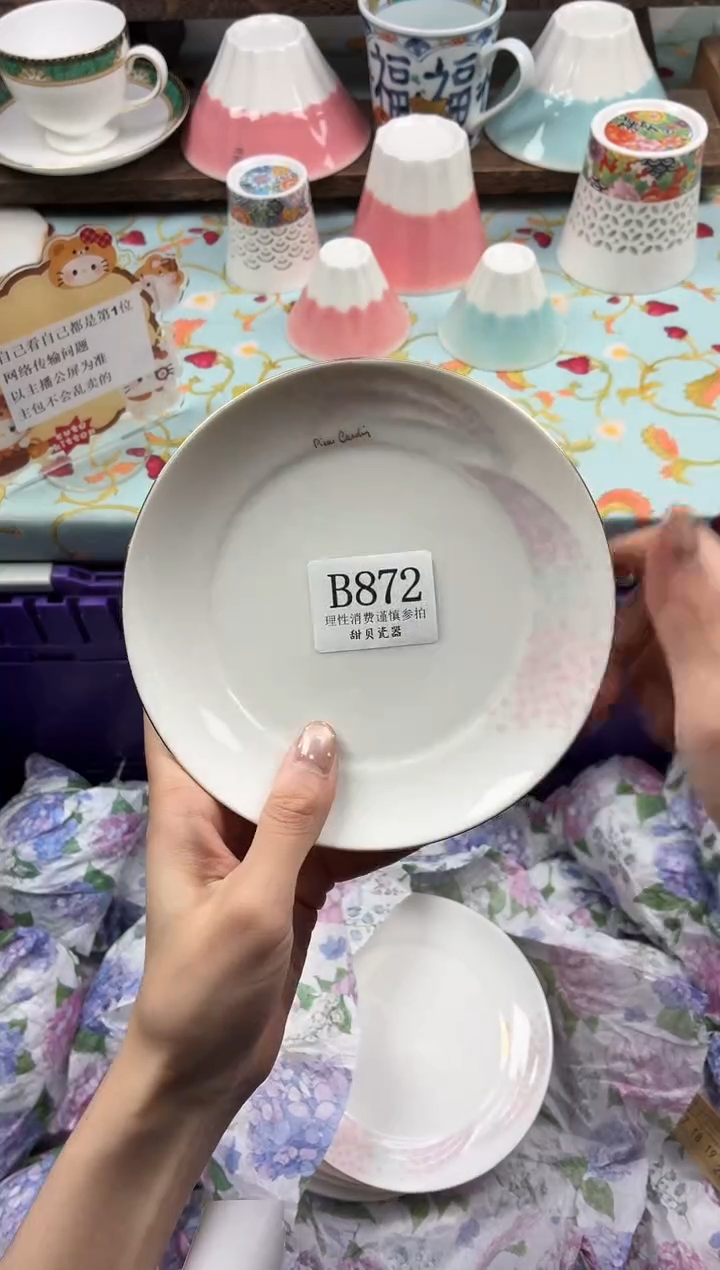 瓷片第***毛                B872