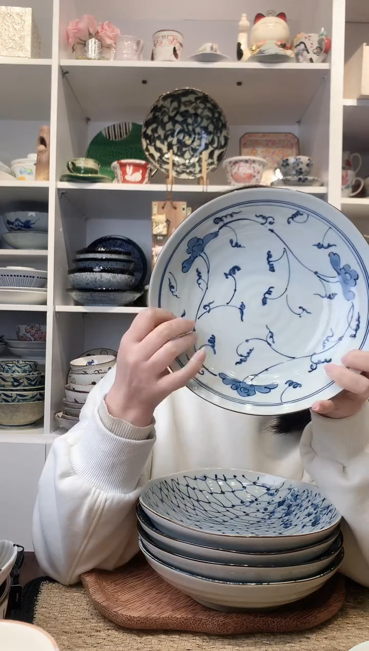 陶瓷bloom染付绘变盘21cm