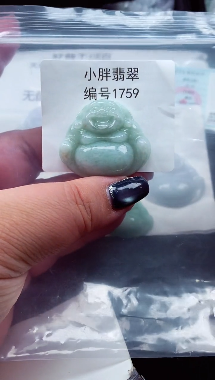 颈饰未镶嵌翡翠缅甸天然A货翡翠1759