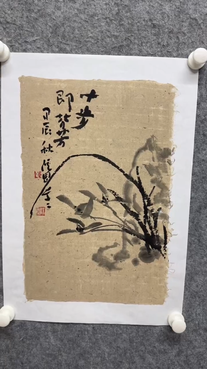 国画写意画花鸟画手绘