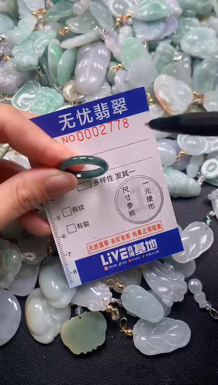 颈饰未镶嵌翡翠2778