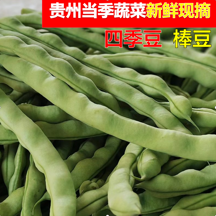 贵州农家新鲜四季豆棒豆肉豆芸豆角扁豆刀豆现摘蔬菜嫩四季豆片