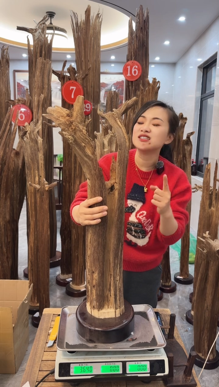 【闪购商品】沉香摆件沉香摆件57