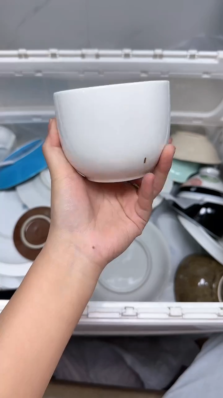 【闪购商品】192回流瓷器默认微瑕，18.8包邮