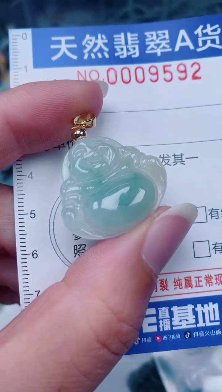 颈饰未镶嵌翡翠00009592