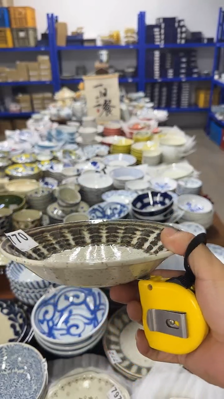 圆形日本进口陶瓷  20cm盘