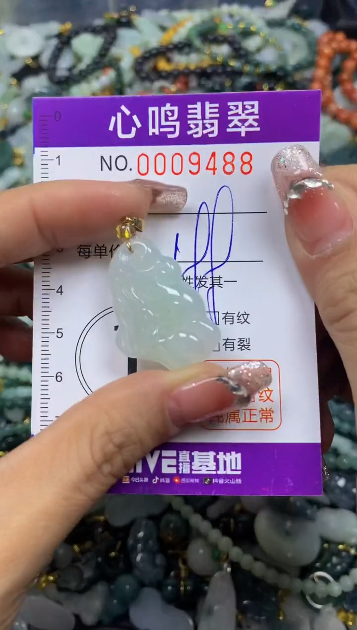 【闪购商品】翡翠颈饰未镶嵌闪购009488