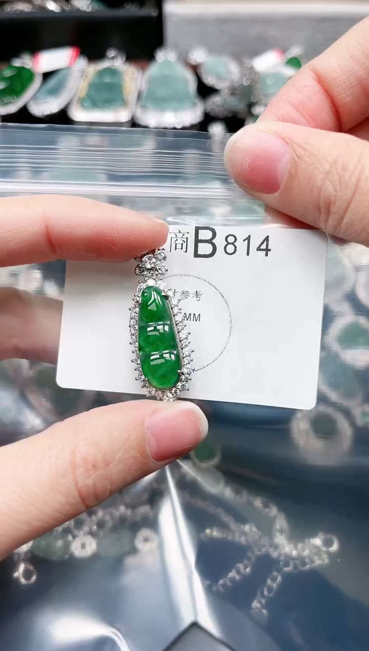 【闪购商品】翡翠颈饰未镶嵌814赠皮绳