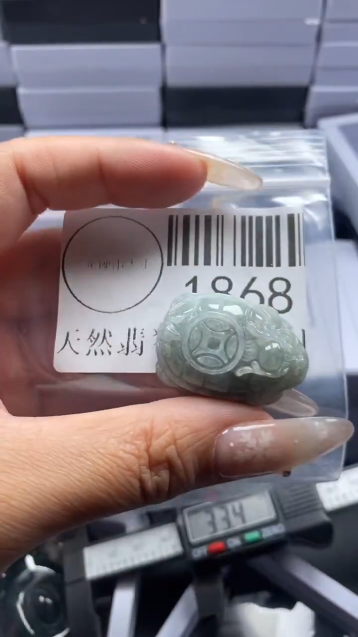 颈饰未镶嵌翡翠1868