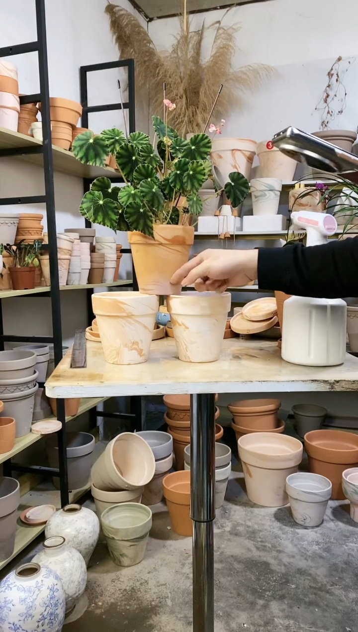 【闪购商品】陶13*13玛奇朵 3盆无托