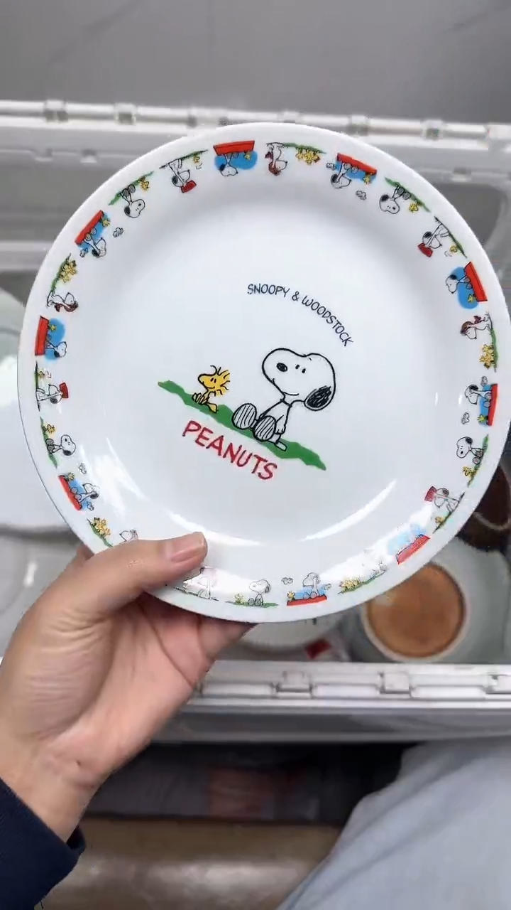 【闪购商品】215回流瓷器默认微瑕，18.8包邮