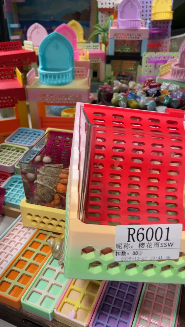 樱****W陌派帝国寄居蟹6001