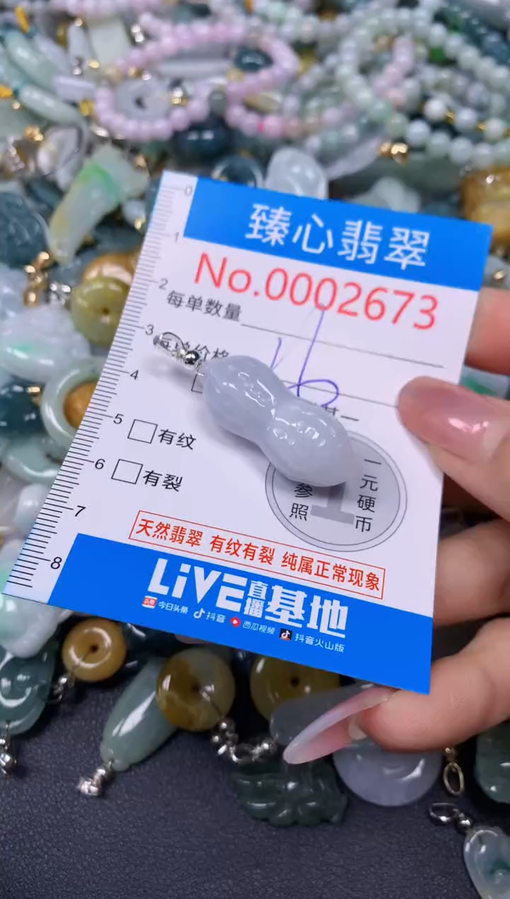 【闪购商品】翡翠颈饰未镶嵌含绳0002673