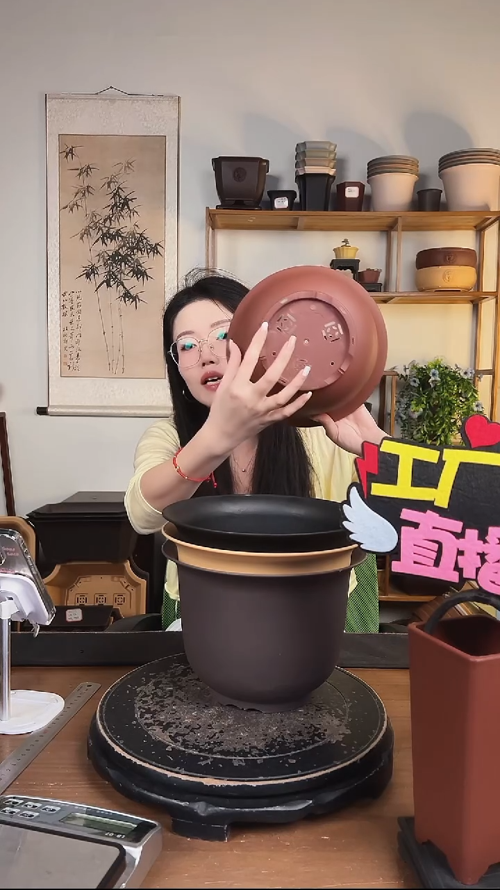 23金钟4只随机颜色