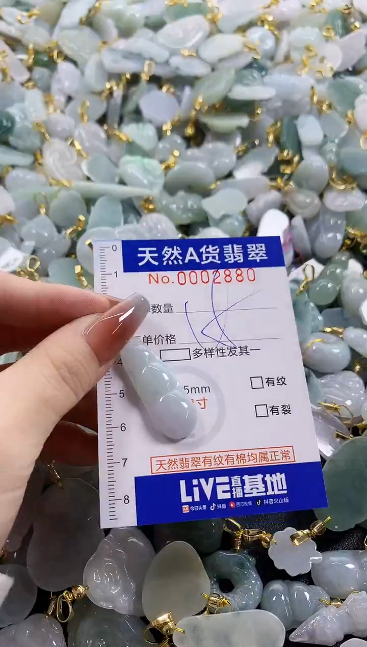 颈饰未镶嵌翡翠天然A货翡翠