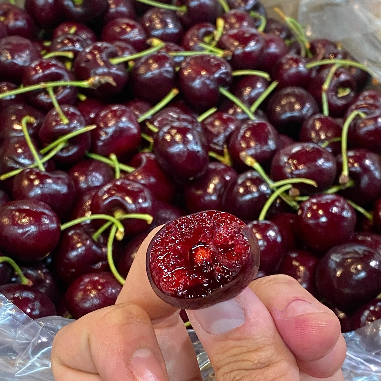 【奎卡4JDD桑提娜车厘子】智利进口海运车厘子加大加黑原箱5斤装内附果径卡桑提娜樱桃智利共和国