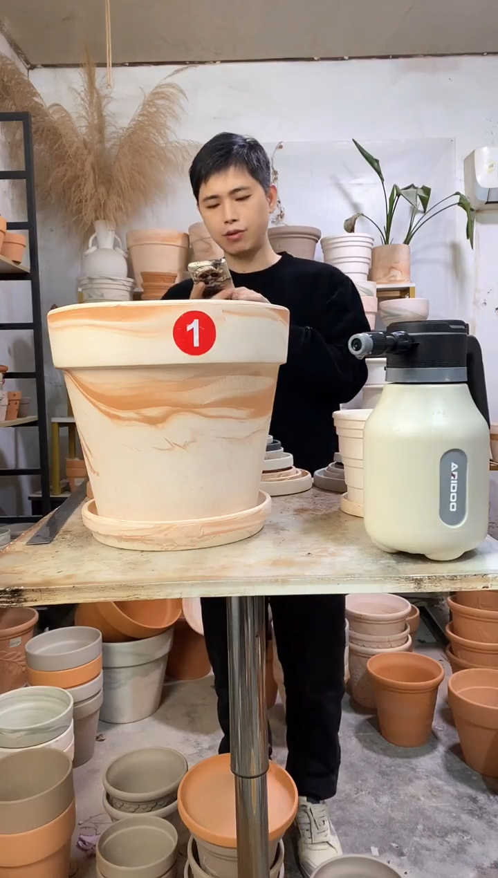 30*27玛奇朵 1盆1托