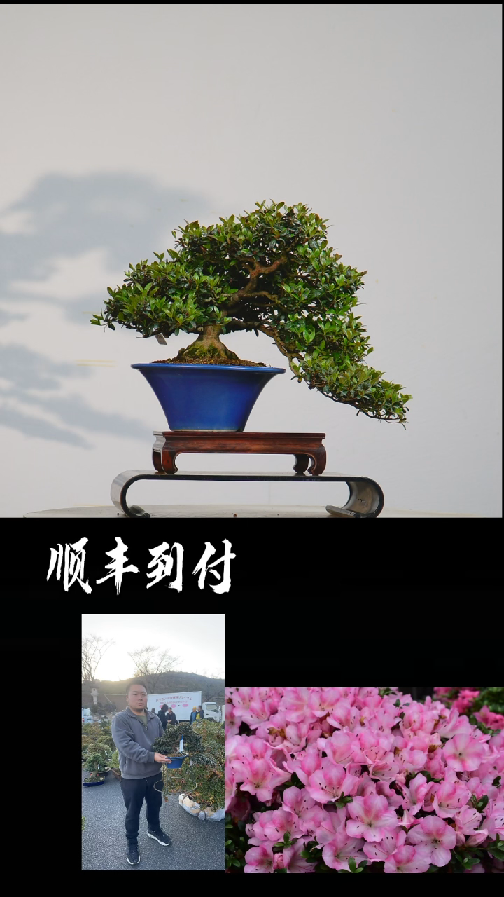 【闪购商品】·吾妻镜