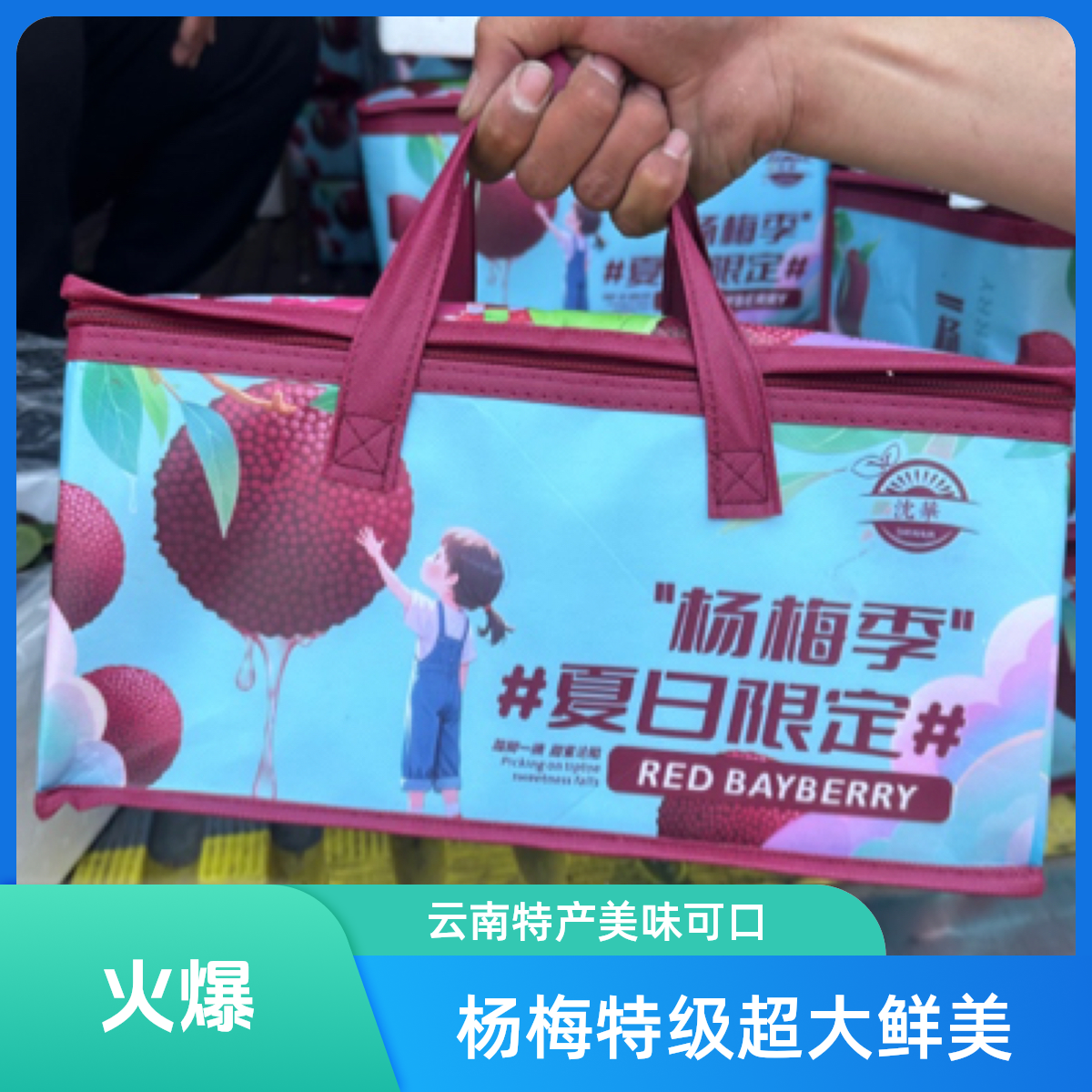 沈华云南东魁杨梅（特级超大杨梅王）/3斤一箱云南省