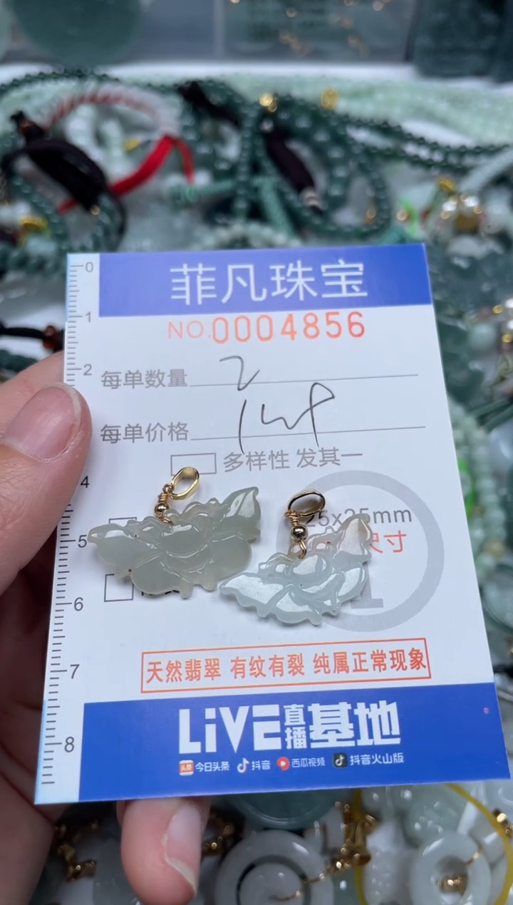 【闪购商品】翡翠颈饰未镶嵌00...4856