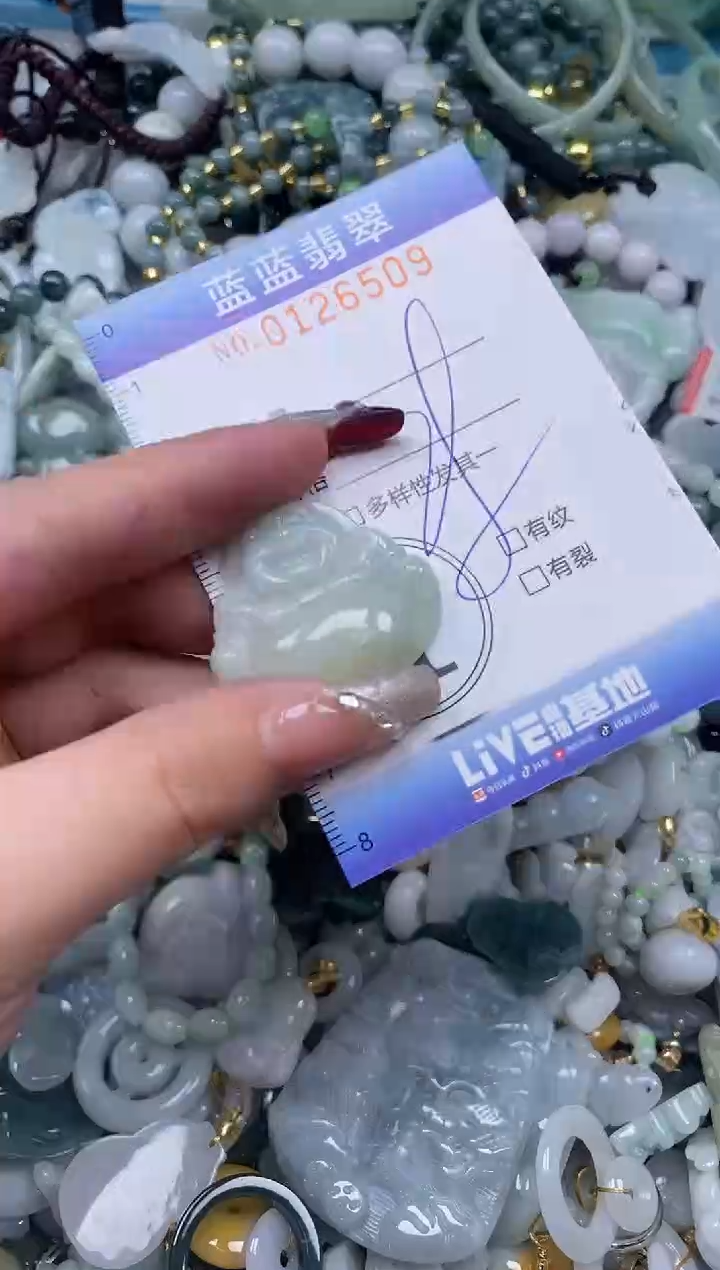 【闪购商品】翡翠颈饰未镶嵌闪购0126509