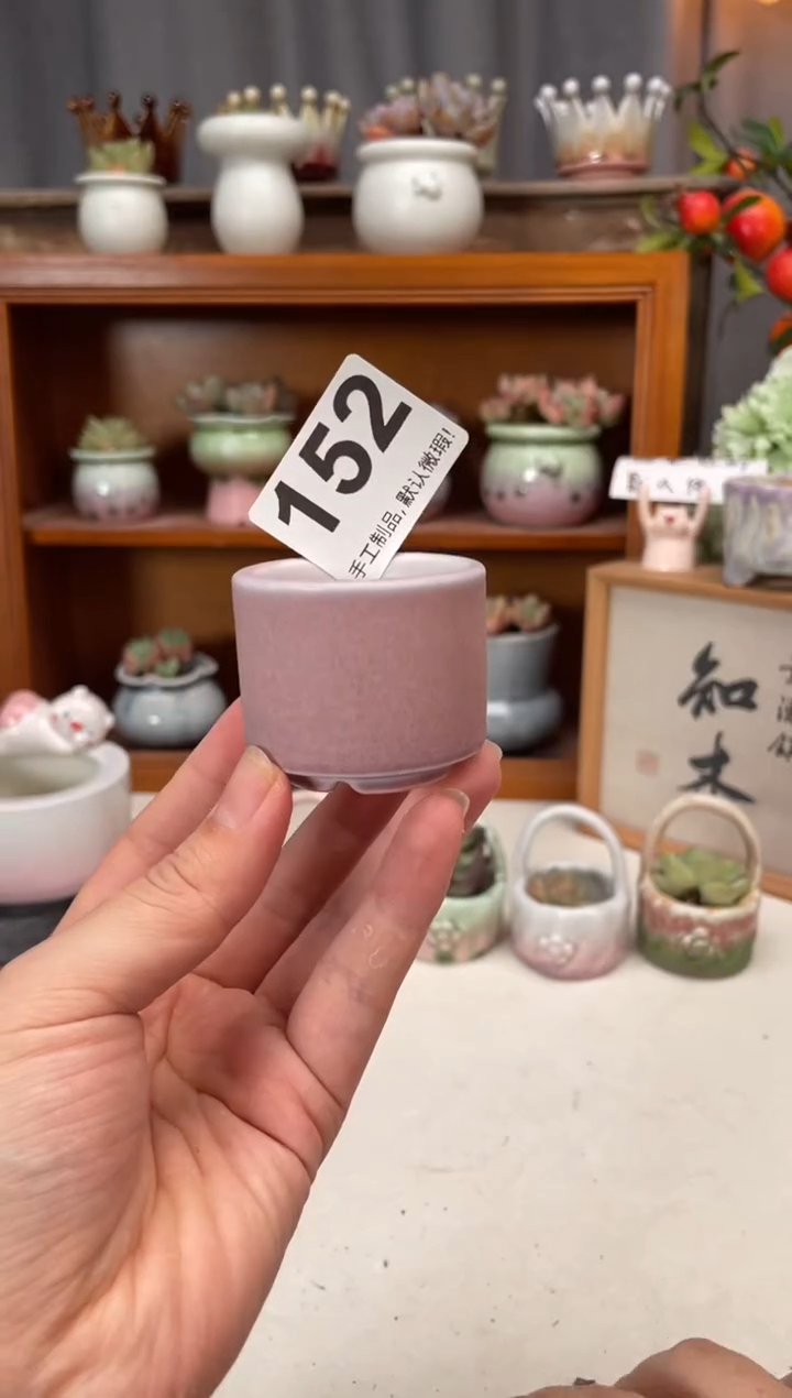 瓷片152知木小芳花盆