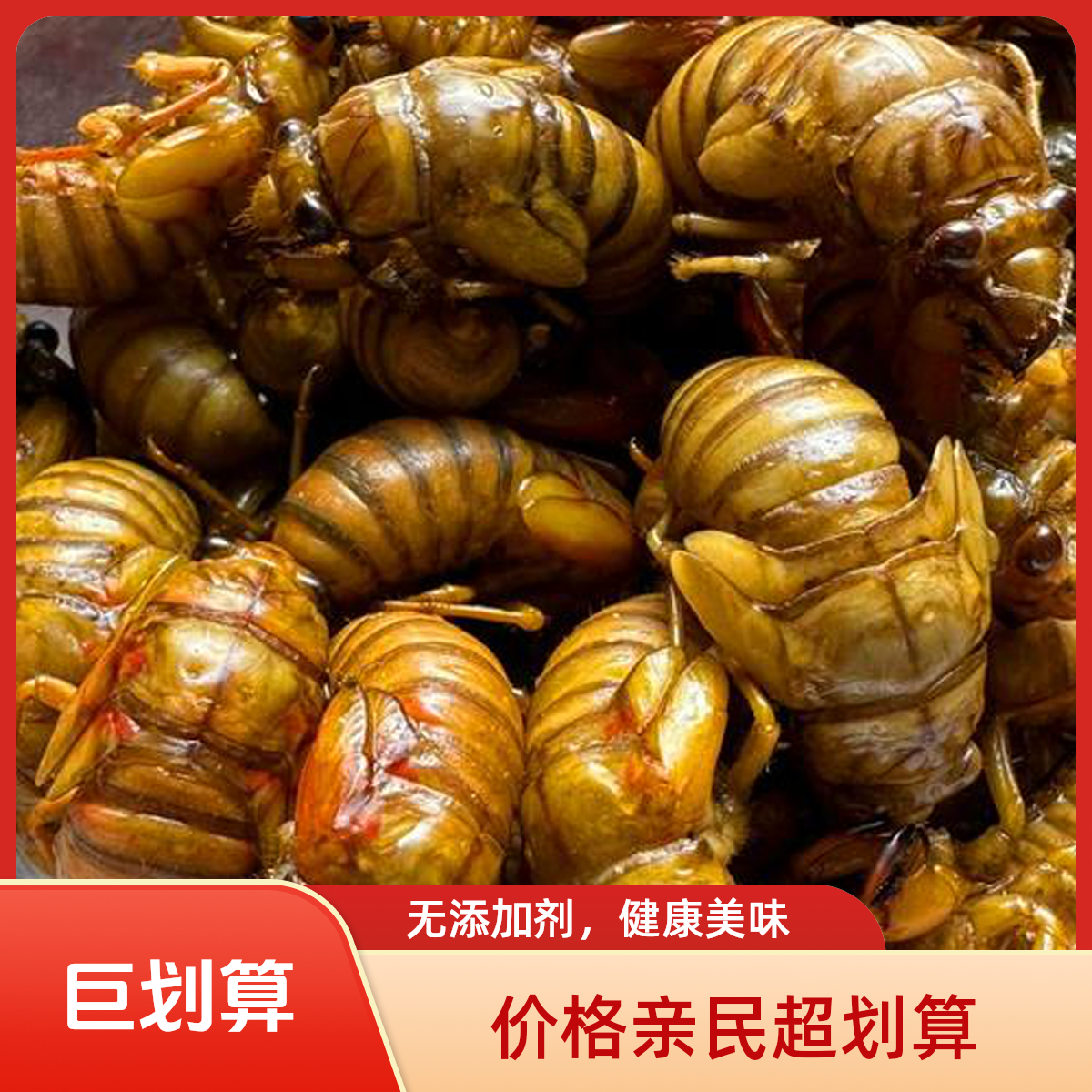 【小布点精选】新鲜杜仲金1蝉爬叉节流鬼知了侯活体速冻顺丰送上门