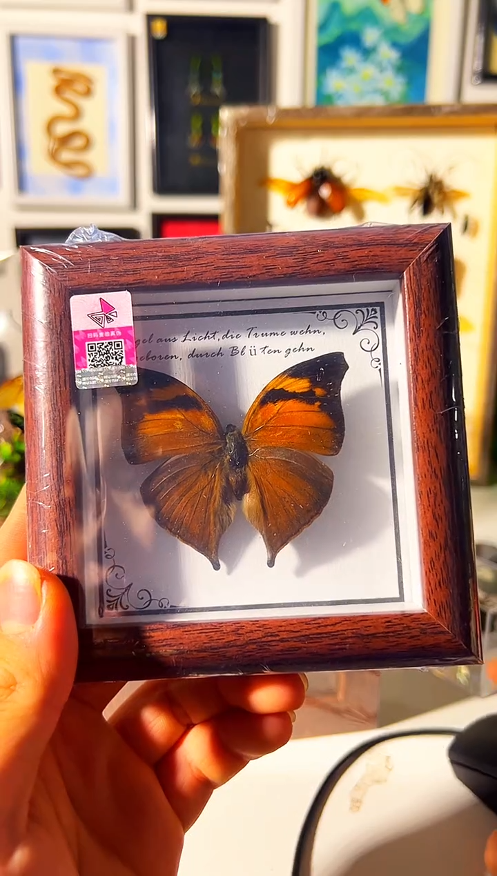 有机玻璃423446546565