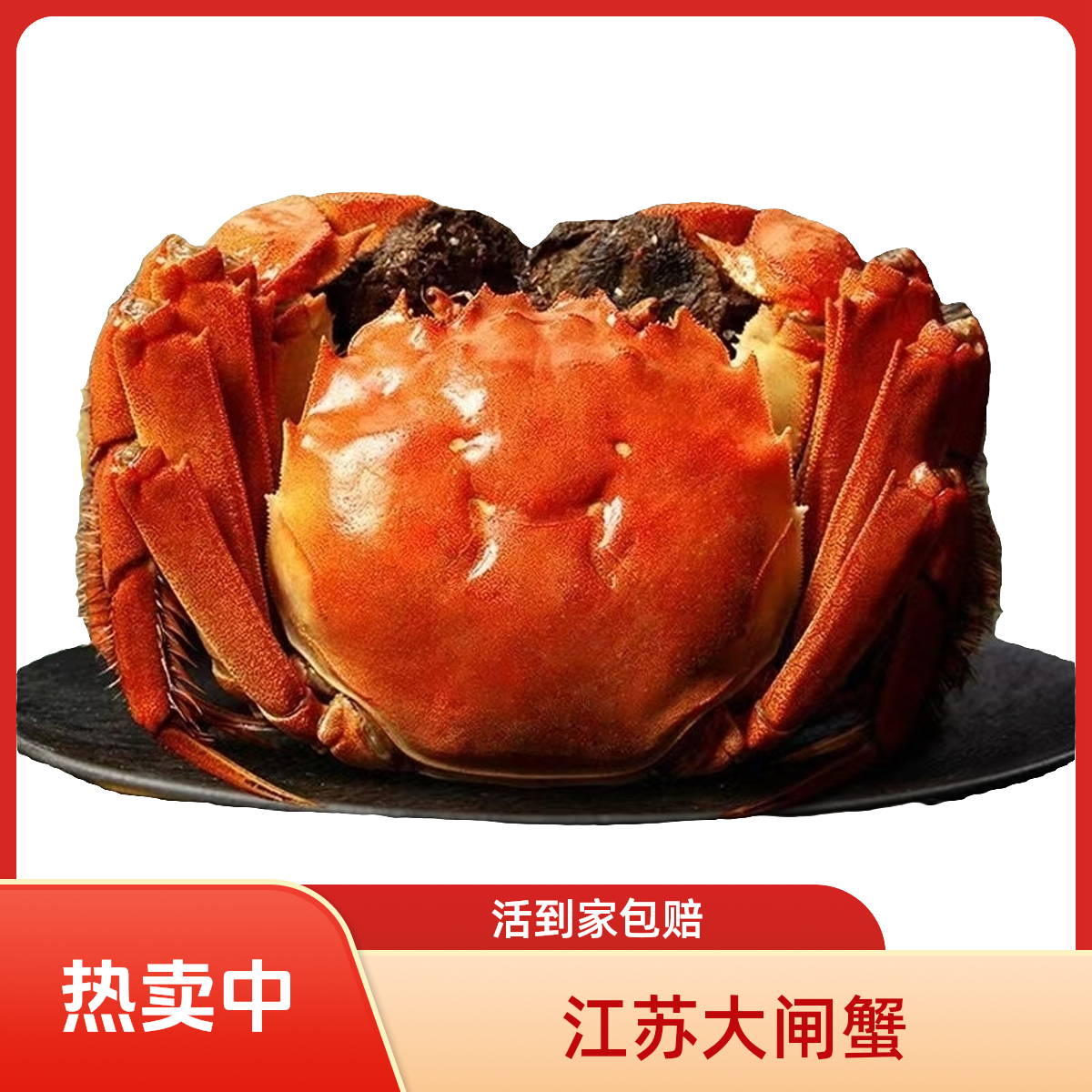 C【正宗空运活蟹】江苏大闸蟹公蟹4两母蟹3两共10只京东顺丰明天到死蟹包赔海鲜