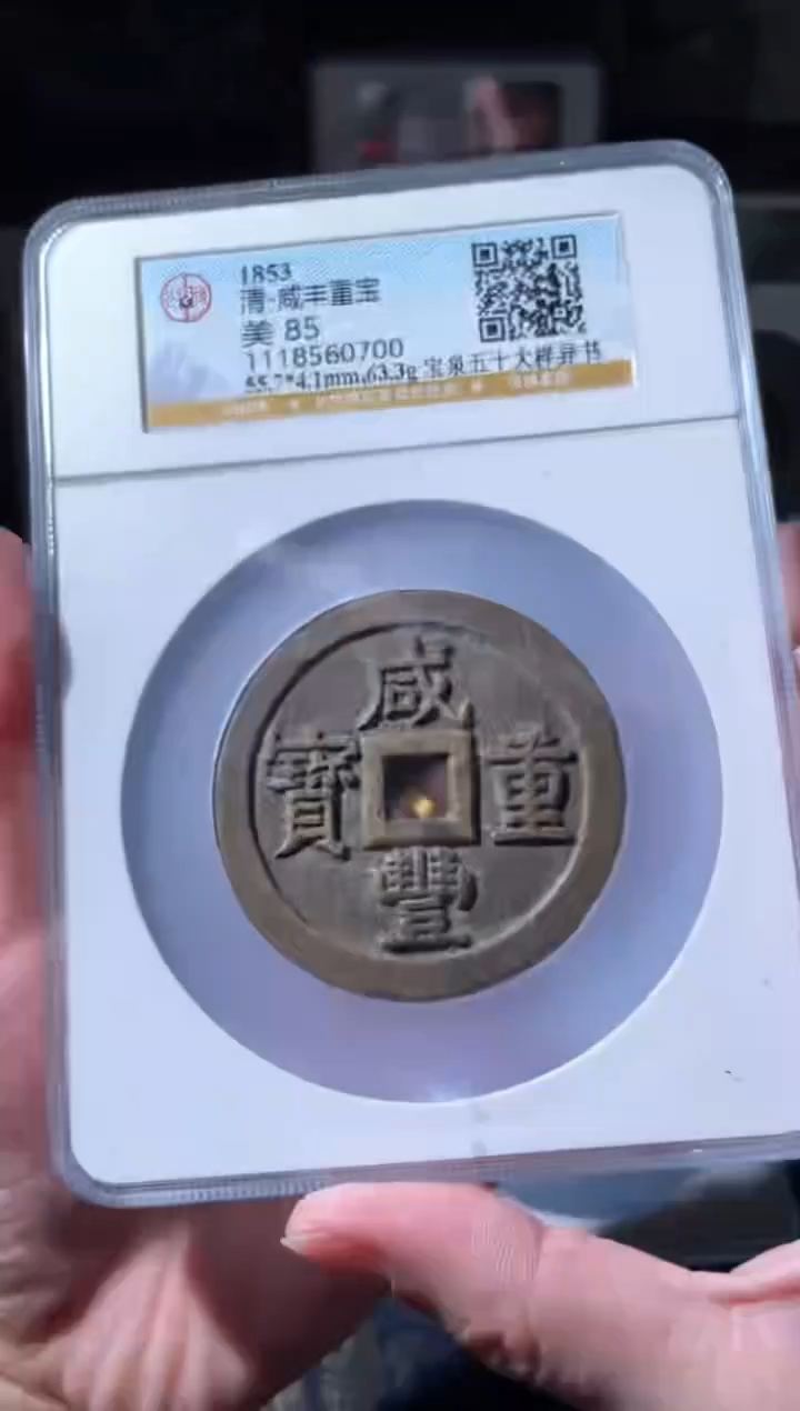 【闪购商品】铜咸丰宝泉五十大样异书85