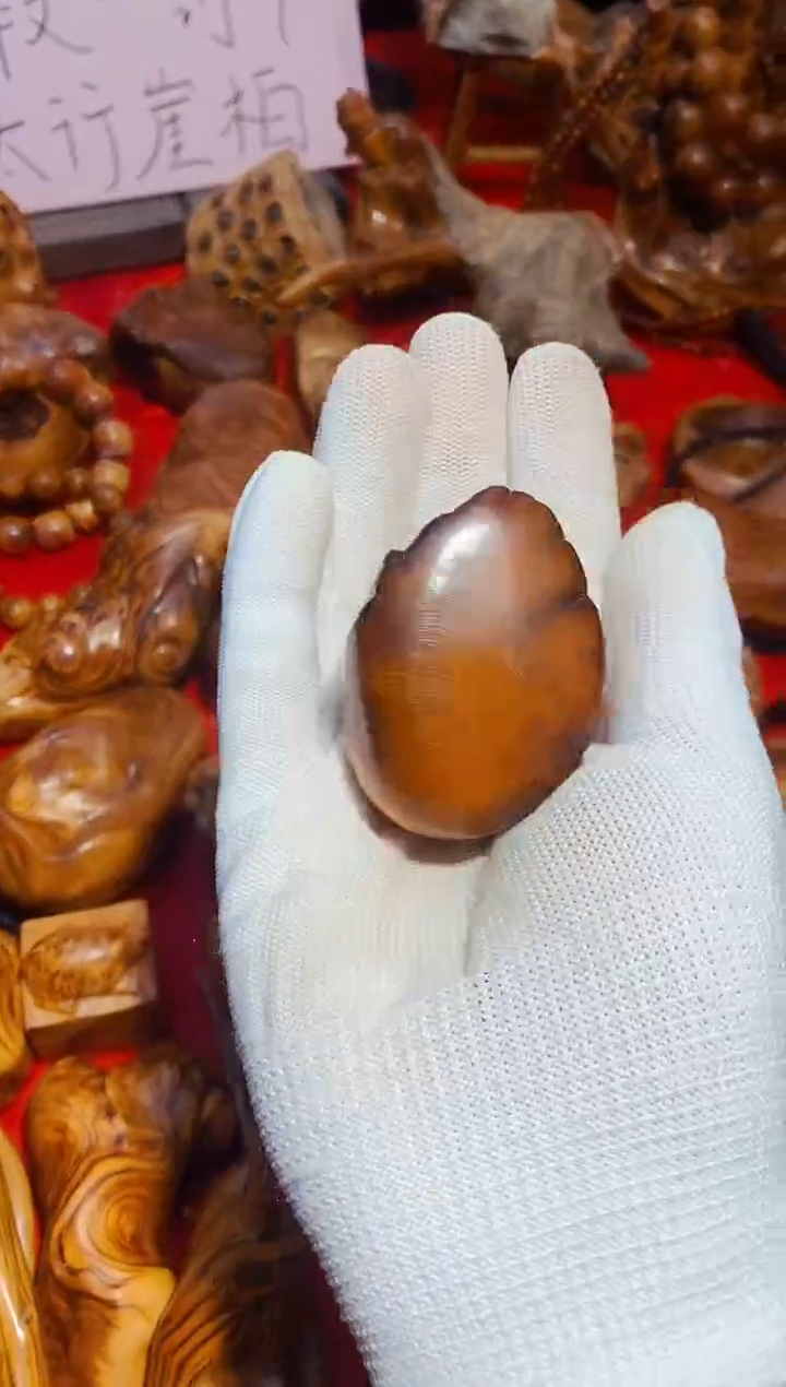 【闪购商品】柏木26崖柏崖柏崖柏崖柏崖柏