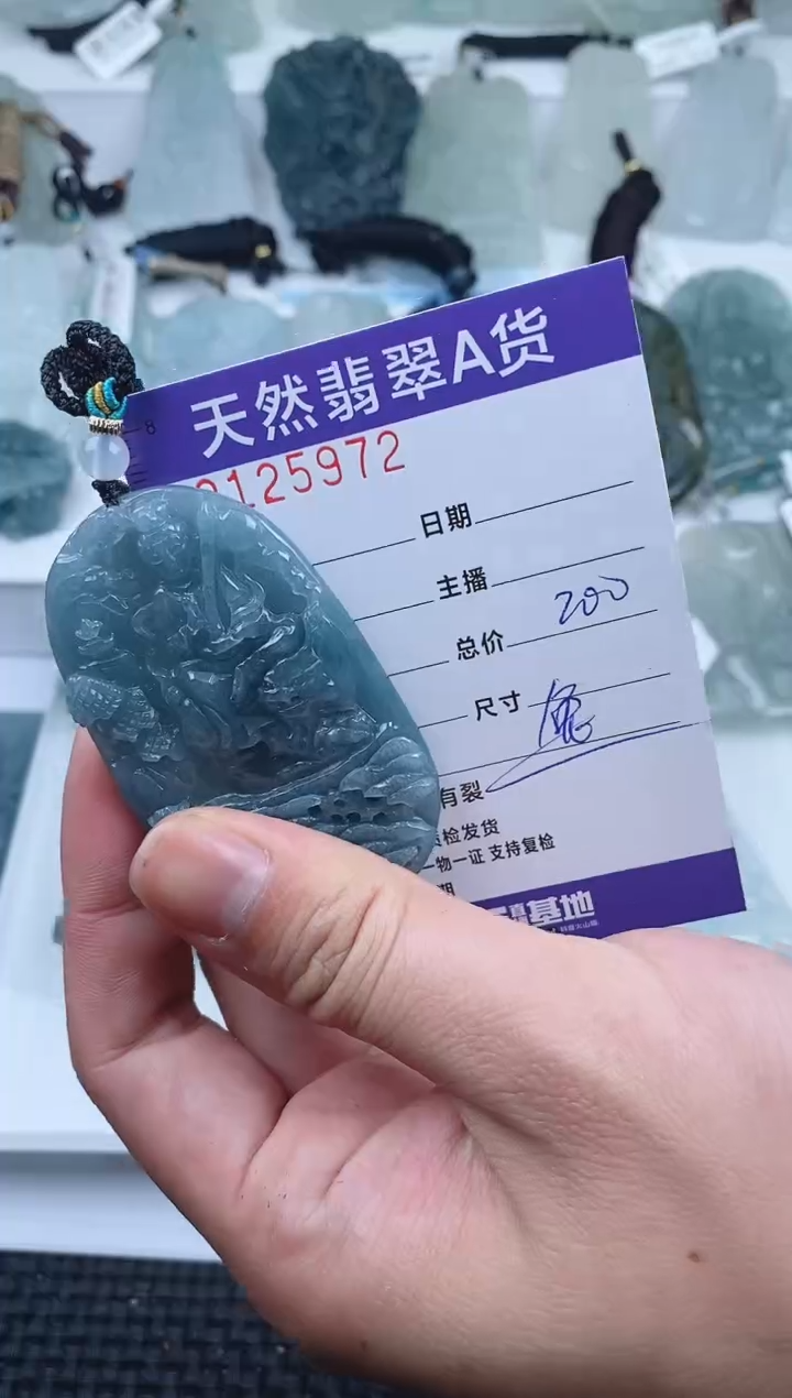 【闪购商品】翡翠颈饰未镶嵌         072