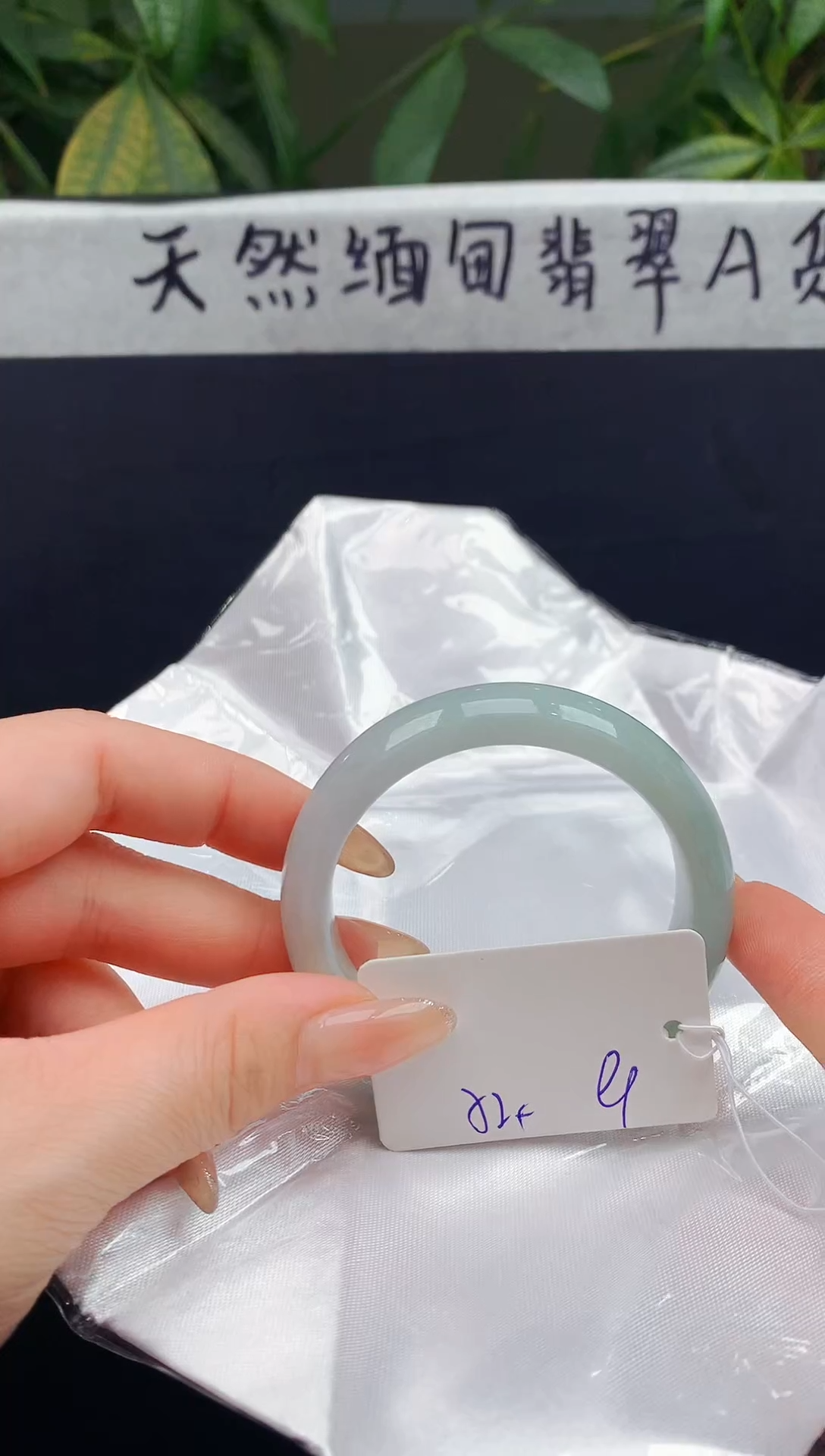 未镶嵌手镯翡翠100