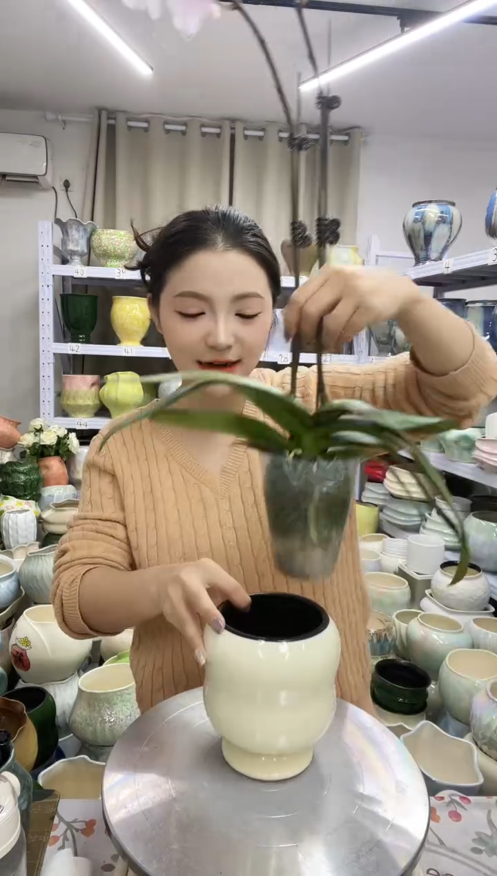 【12.1】花盆 高度：14  口径：9