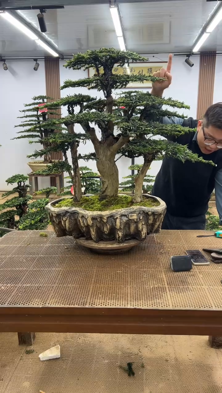 无花朵豹00000000000000