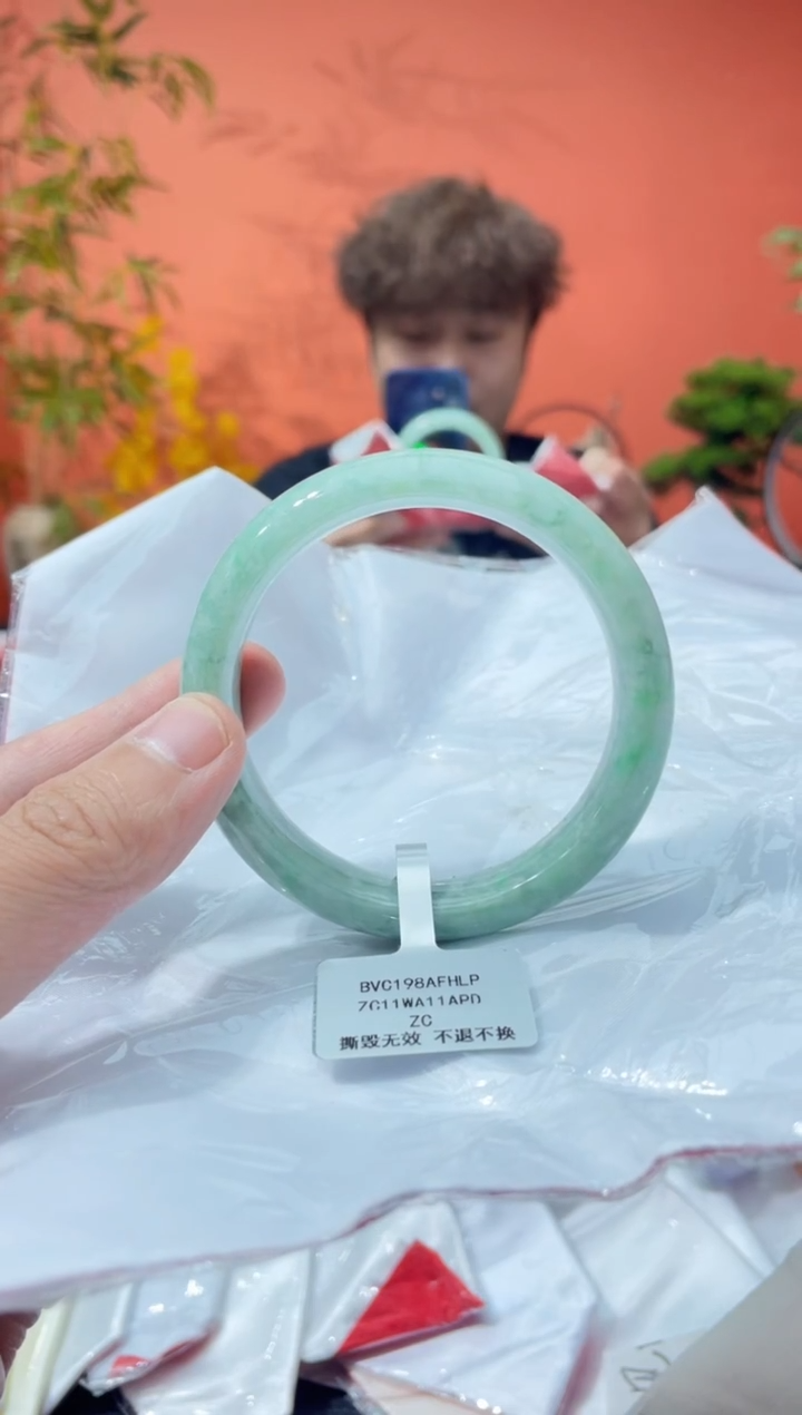 未镶嵌手镯翡翠1