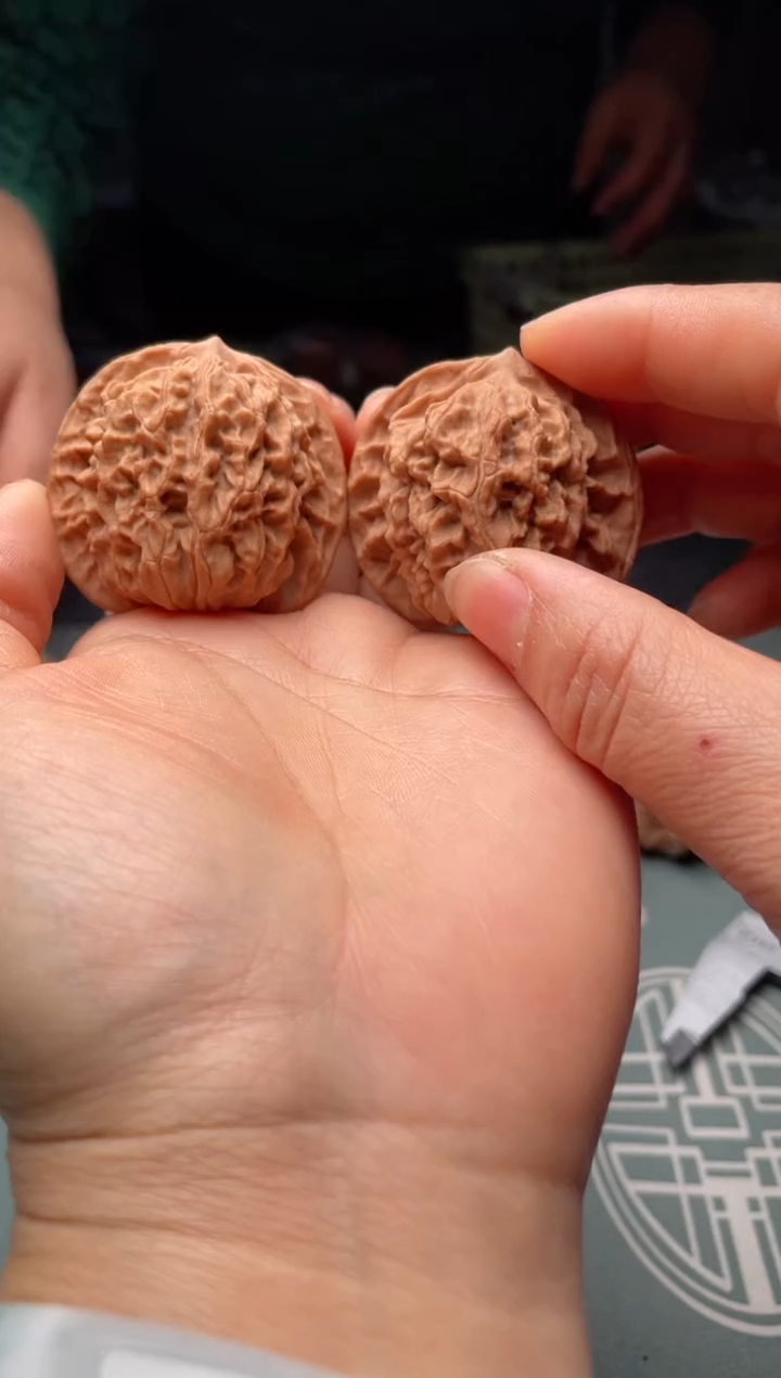 把件文玩核桃w351   盘龙纹 43尺