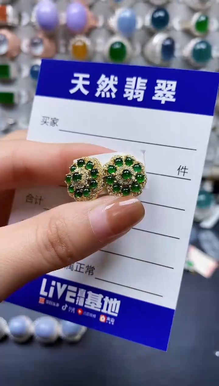 【闪购商品】翡翠耳饰银S925镶嵌0160