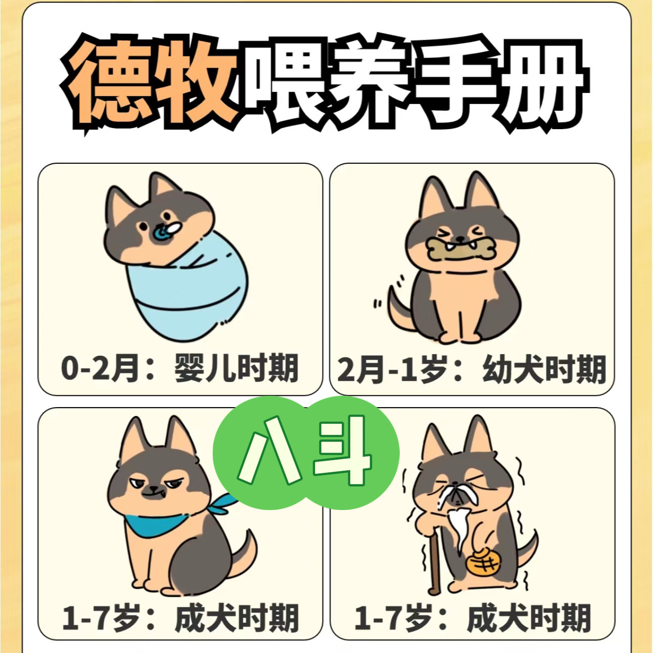 八斗教你如何挑选狗狗