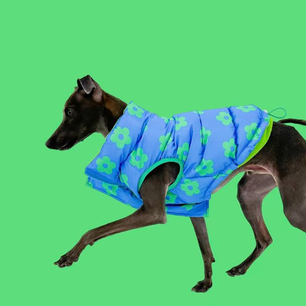 小韩TOOF花朵绒双面防水防风棉服