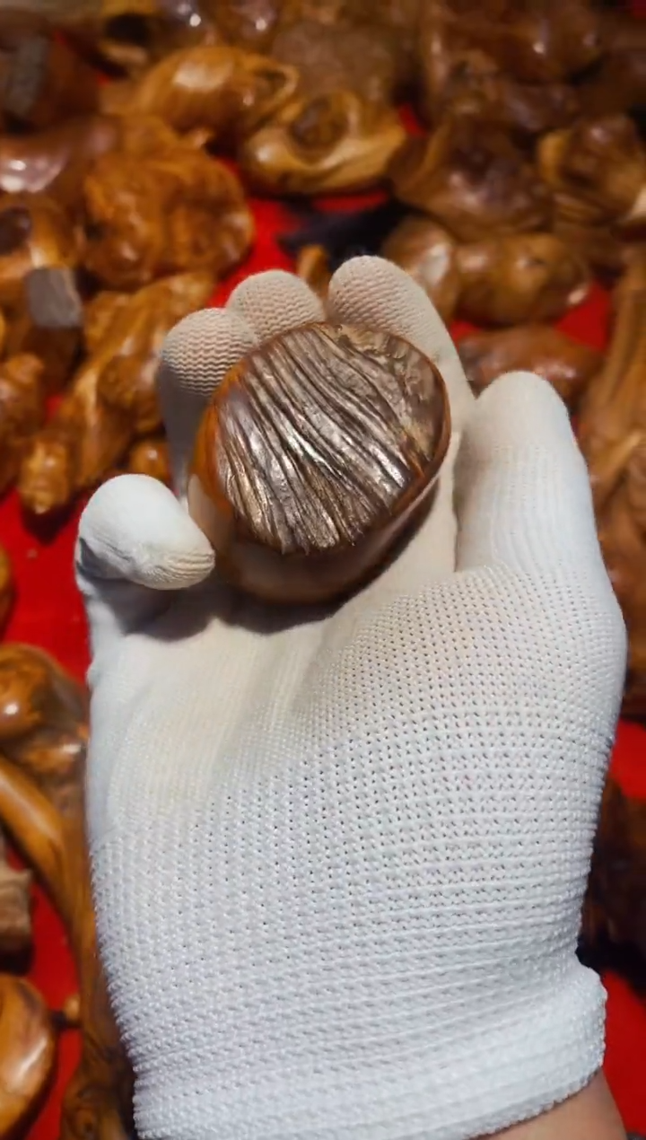 【闪购商品】柏木2崖柏崖柏崖柏