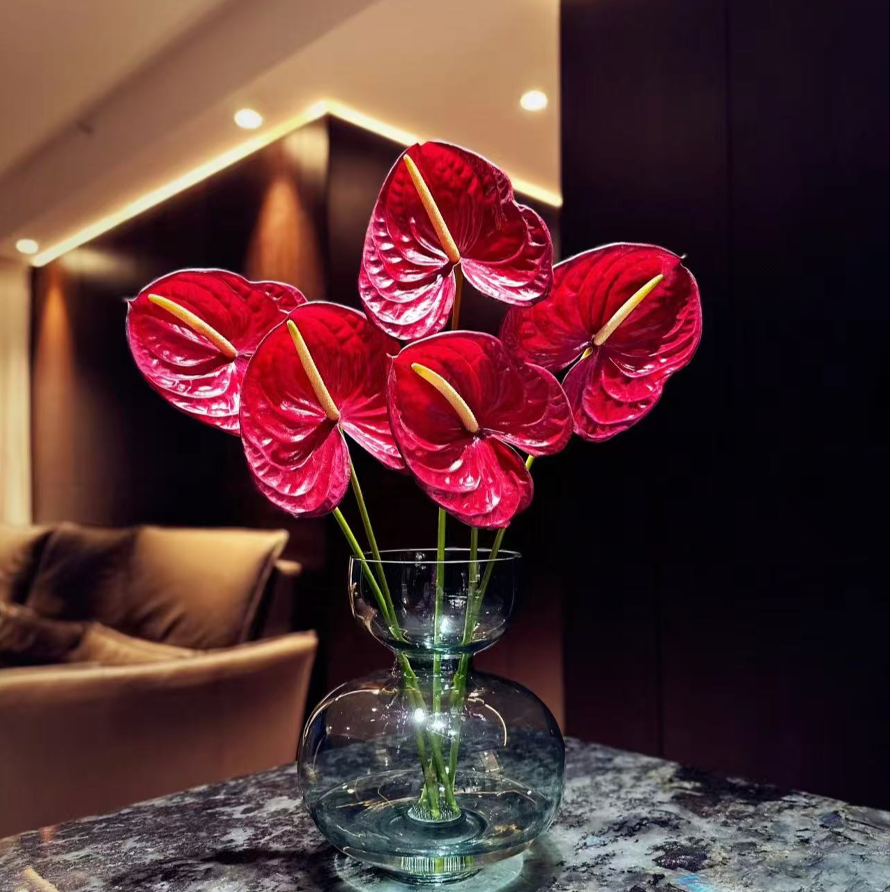 【花漫时光】红掌 象征鸿运当头 花形奇特 水养持久 鲜切水培绿植