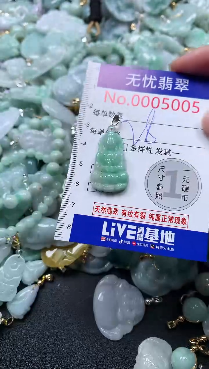 颈饰未镶嵌翡翠5005