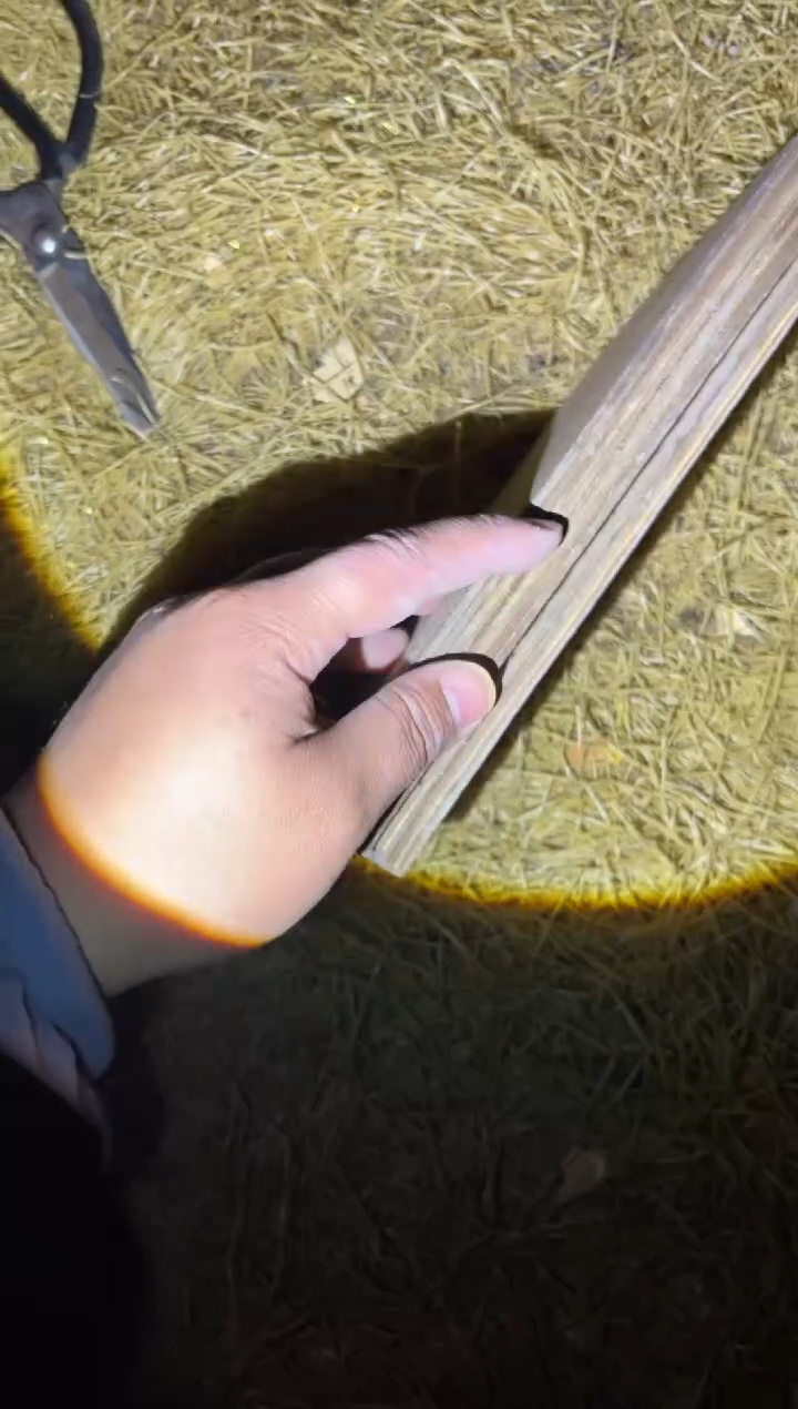 木木木木木木木木