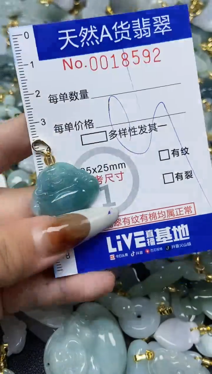 【闪购商品】翡翠颈饰未镶嵌天然A货翡翠