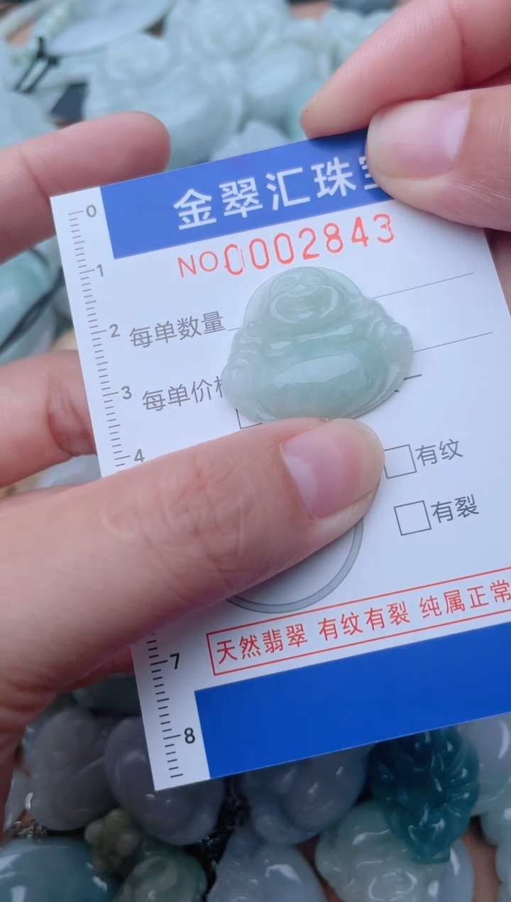 颈饰未镶嵌翡翠2843