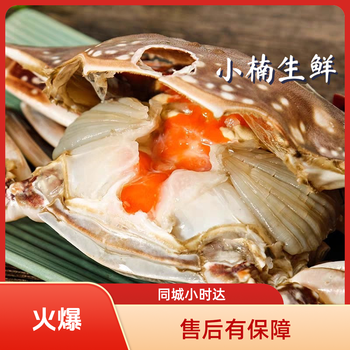 鲜活螃蟹黄多多肉多多莱州湾 3-4/4-5/5-6两/一只(一斤到5斤可选) 【保鲜不保活】 