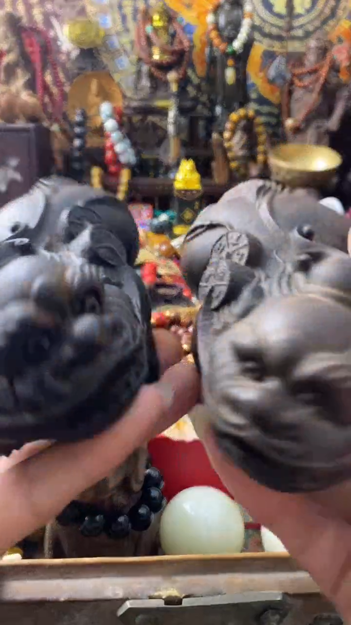 木------主播推荐--------