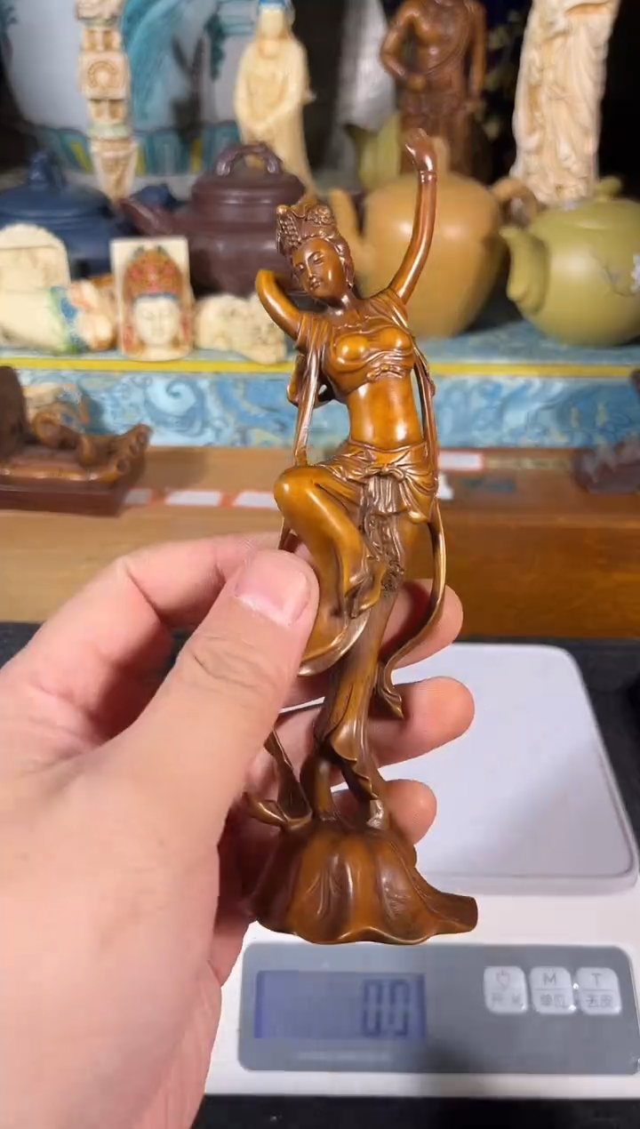 黄杨木111111111111111111